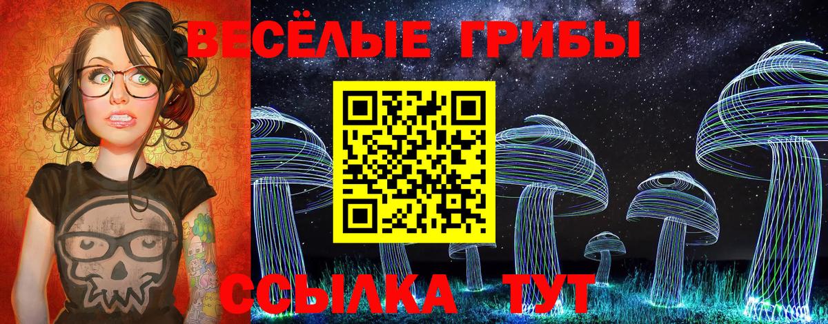 Ржев  Галлюциногенные грибы прущие грибы  Вход с VPN  Псилоцибиновые грибы мицелий 
