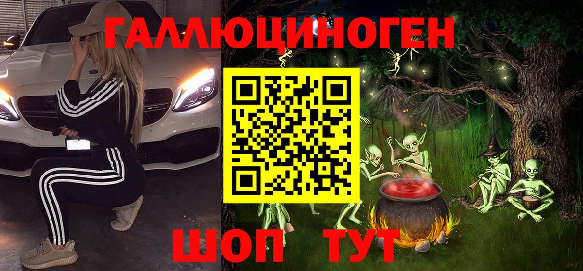Галлюциногенные грибы Psilocybe Ржев
